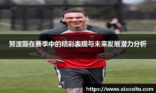 努涅斯在赛季中的精彩表现与未来发展潜力分析